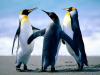 Foto de RMV-SERVICIOS-instalaci�n y reparaci�n de refrigeraci�n y
